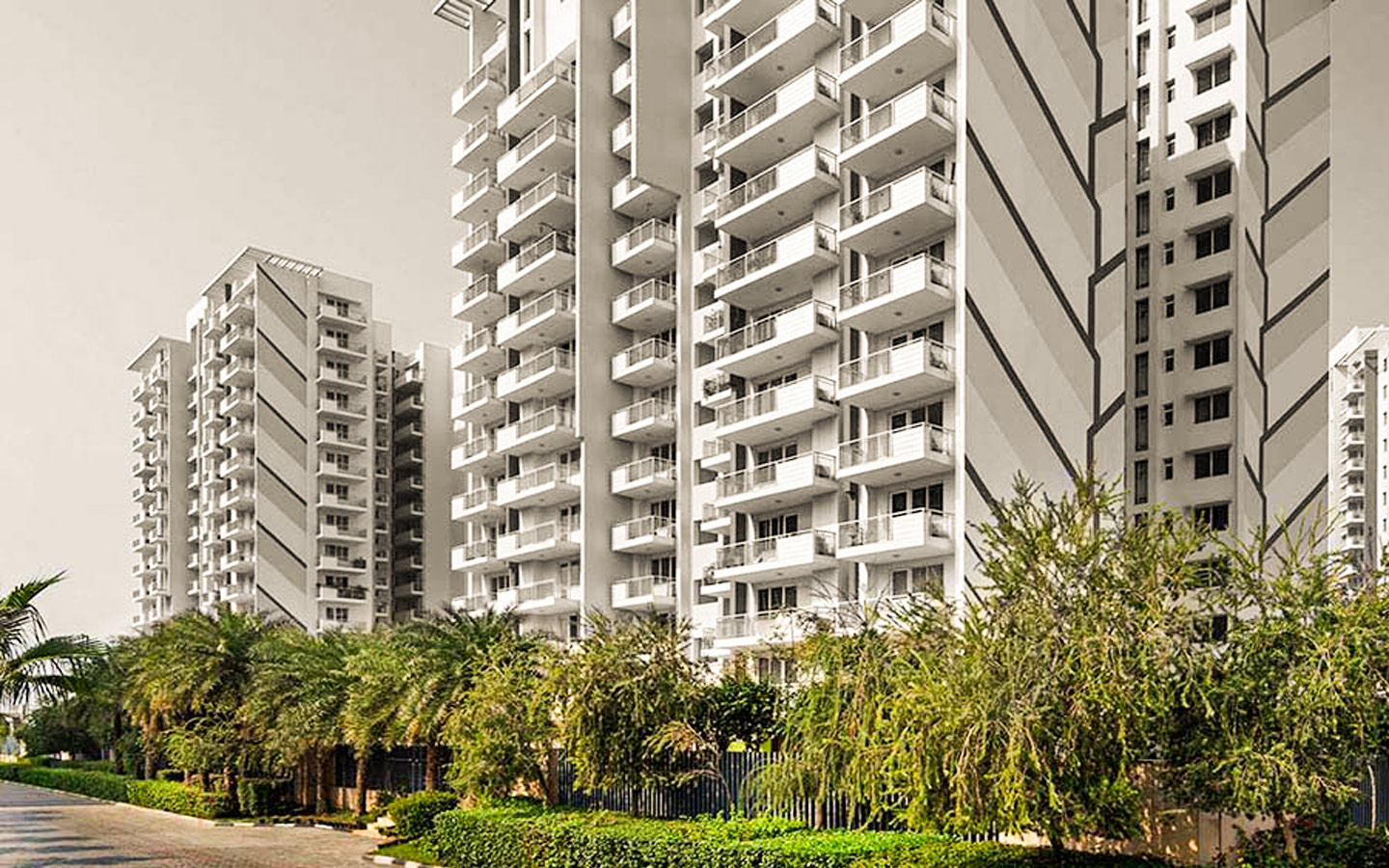 Woodshire-Image-05