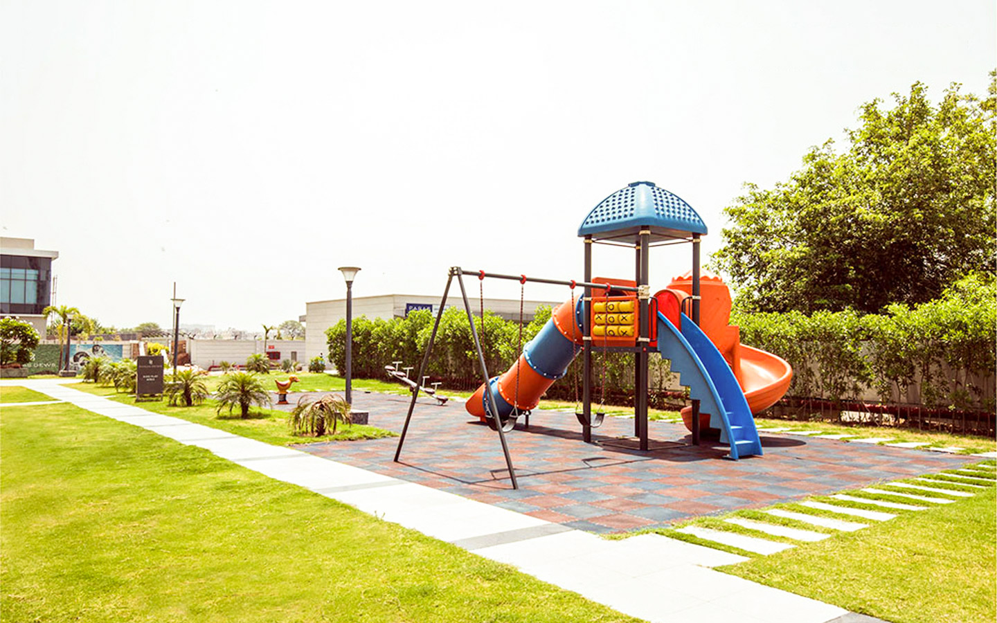 Paras-Dews-Image-07
